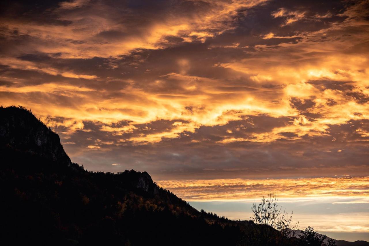 Sundrenched Relais De Poste In Serdinya エクステリア 写真